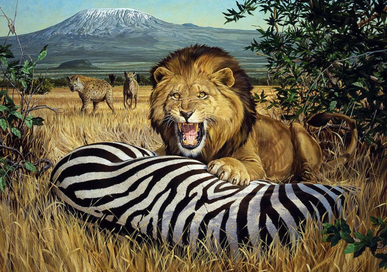AA Lodge Amboseli Buitenkant foto