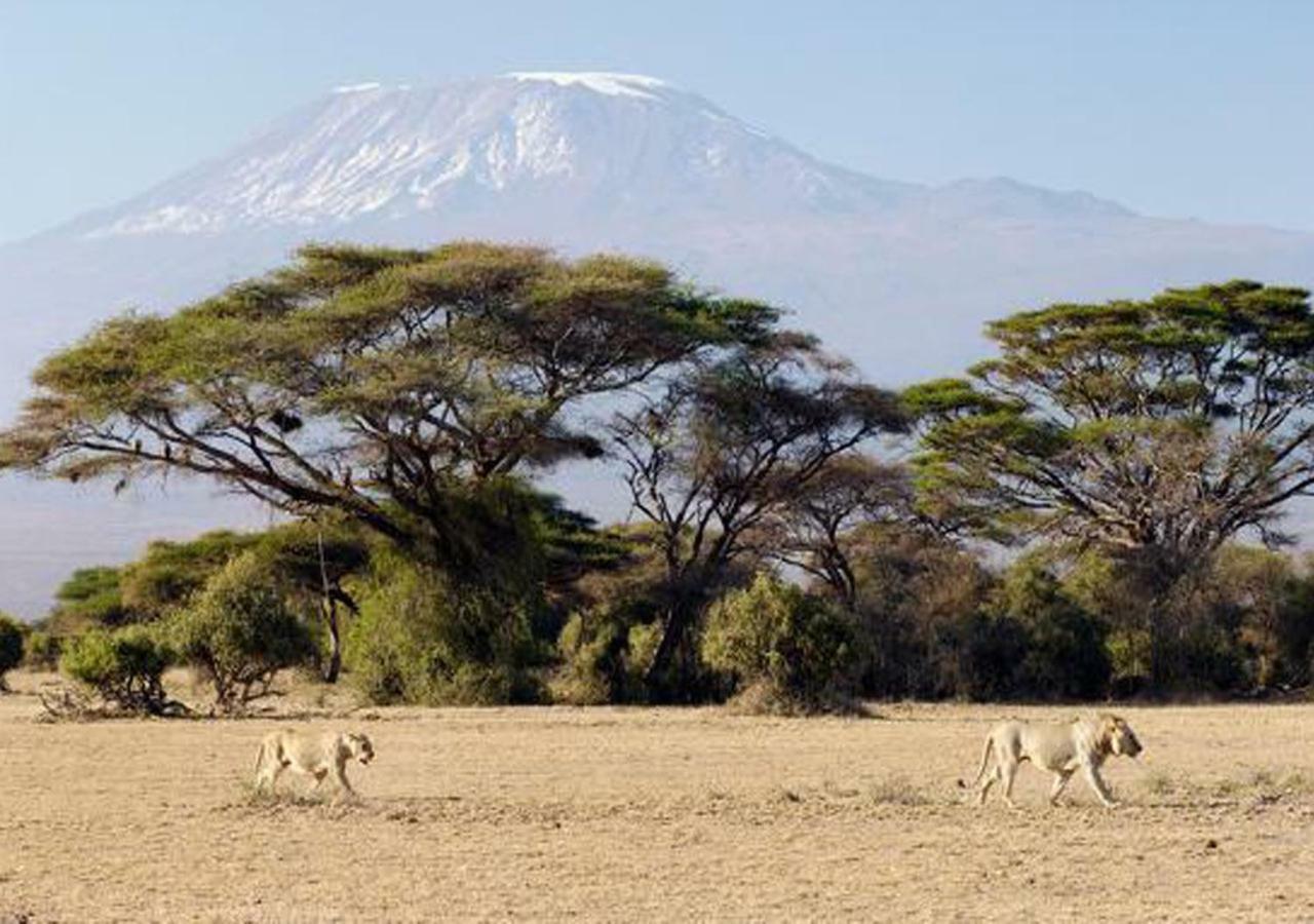 AA Lodge Amboseli Buitenkant foto