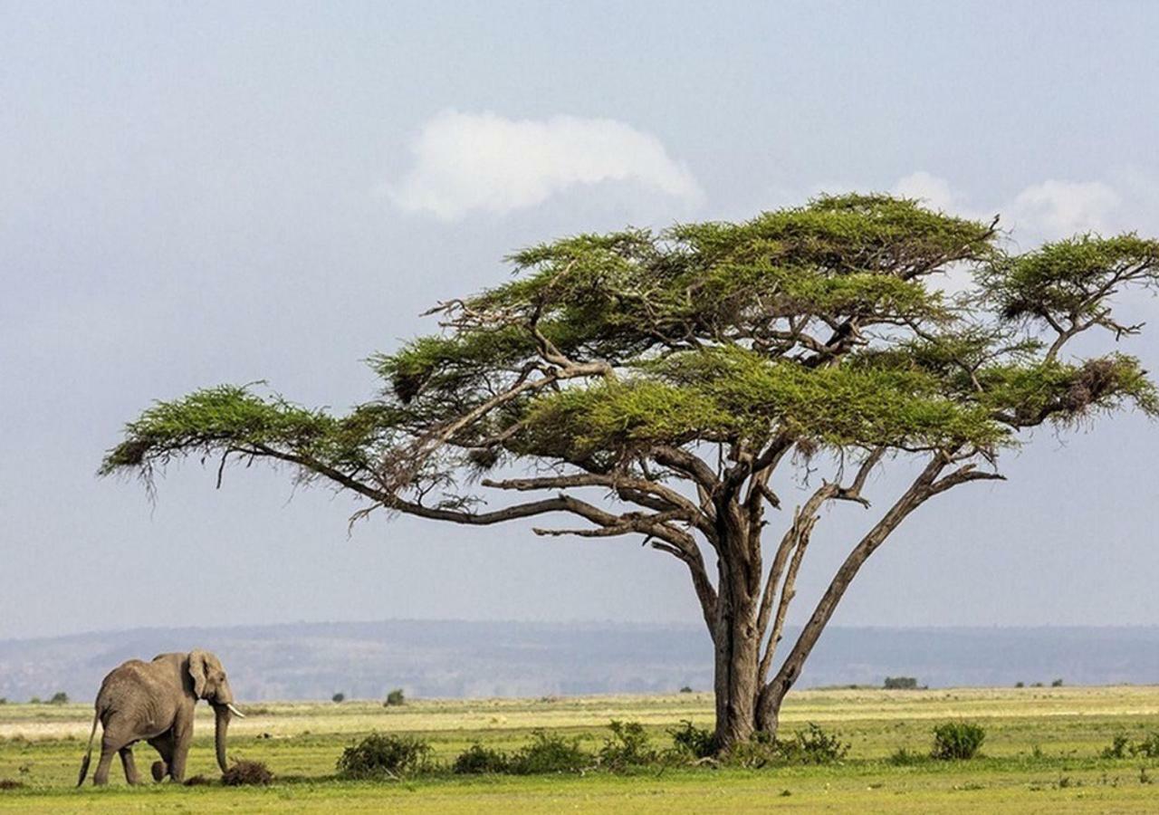AA Lodge Amboseli Buitenkant foto